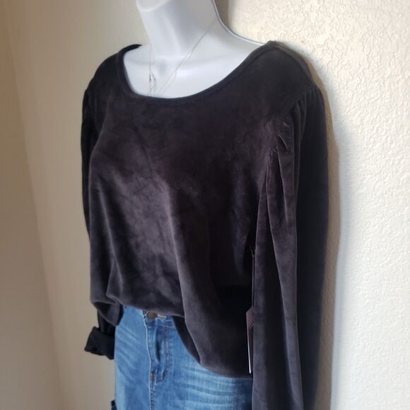 NWT Soft Velvet Long Puff Sleeve Top - Picture 2 of 6